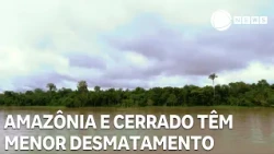 Deforestation in the Amazon and Cerrado hits record lows