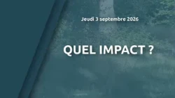 What is the impact?