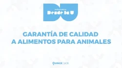 UCR garantiza calidad de alimentos para animales en el país