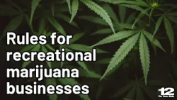 What rules will be in place for recreational marijuana businesses?