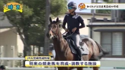 Infiltrating the Secret World of Racehorse Training! "JRA Miyazaki Training Farm (Miyazaki City)"...
