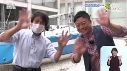 貝の不思議を体験しよう！【2026.7.12「ひょうご発信！」ＴＨＡＴ’Ｓ　ＦＩＰＡＶＩ～】