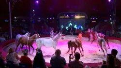 Újra Székesfehérváron a Magyar Nemzeti Cirkusz