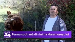 Povestea celor doi soți din Maramureș care și-au transformat gospodăria într-un colț de Scoția
