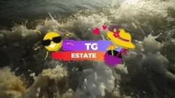 Summer News for 08/17/2026