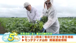 [Asaha 5-chan!] Broadcast on August 8, 2026