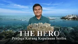 Pulau Seribu Terancam Tenggelam, Pria Ini Tanam Kembali Batu Karang | The Hero