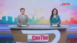 Rectifying construction issues on the Can Tho - Hau Giang - Ca Mau expressway | New Day in Tay Do...