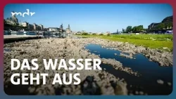 Der große Durst - Streit ums Wasser | Fakt ist! | MDR