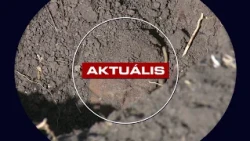 Éles lőszereket és kézigránátot találtak Gyöngyösorosziban – Aktuális 2026. 08. 11.