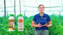 Macoser – Balanced Plant Nutrition 09/28/2026