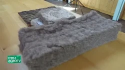 Wool, a solution for home thermal insulation 08/31/2026