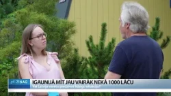 Igaunijā jau 1100 lāču. Vai Latviju gaida tas pats?