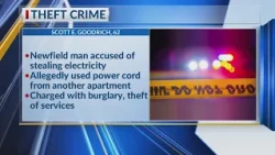 Police: Newfield man uses power cord to steal power