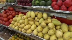 INFLATION IN QUERÉTARO REPORTEDLY DECREASED DURING THE FIRST HALF OF SEPTEMBER