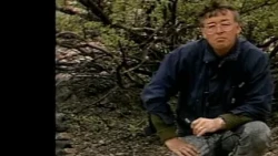 Arnangarnup Qoorua (2:2) KNR februar 1989