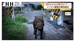 「指をなかなか離さなくて」指をイノシシに噛まれる　男性の指や肘に傷跡　飼い犬が吠えて救助につながる　長野（2026年07月13日）
