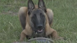 NOVÝ ČLEN POLICAJNÉHO ZBORU