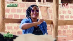 The basics of successful cattle farm | SEEDS OF GOLD