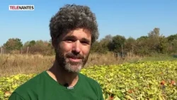CHALEUR : LE MARAÎCHAGE MUNICIPAL À RUDE ÉPREUVE