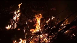 Brush fire mobilizes Fire Department and leaves young woman injured in Jardim Recanto