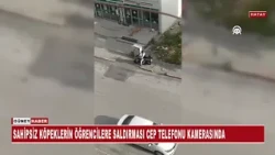 SAHİPSİZ KÖPEKLERİN ÖĞRENCİLERE SALDIRMASI CEP TELEFONU KAMERASINDA