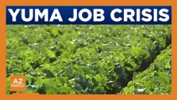 Yuma unemployment numbers rise higher than Arizona average