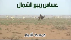 عساس ربيع الشمال | خب سـحا - أشـيقر 17-5-1434هـ