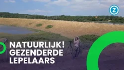 Frédérique bestudeert GEZENDERDE LEPELAARS in Natuurlijk!