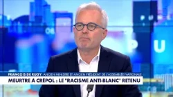 François de Rugy: "We must fight anti-white racism just like any other form of racism"