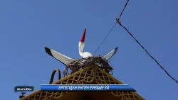 Ертегіден енген ерекше үй