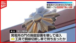 4 Men Arrested for Breaking into Solar Power Plant and Stealing 90 Copper Cables (Worth Approx. 9...