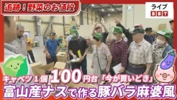 Cabbages are priced at around 100 yen each, "Now's the time to buy!" Pork belly mapo-style dish m...