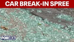 Suspect sought for daytime vehicle break-in spree in Northeast DC