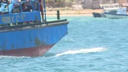 #LasTunas