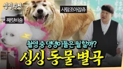 촬영장 동네 댕댕이들 다 모였다! 촬영 중 만난 시골 강쥐들⎪싱싱외전 ep2.