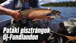 Az új legyező horgász: Pataki pisztrángok Új-Fundlandon