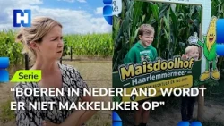 Corn maze to make up for bad potato year: side project becomes necessity | Farming & Side Hustles #1