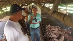 Provincial Party First Secretary evaluates food production in #Majibacoa