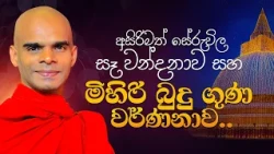 අසිරිමත් සේරුවිල සෑ වන්දනාව සහ මිහිරි බුදු ගුණ වර්ණනාව | Venerable Bandarawela Santhadeepa Thero