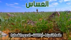برنامج العساس | طلعة التمياط - أبا القلت - الحدود الشمالية (3-4-1440هـ)