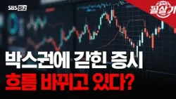 [Kill Switch] Foreign Investors Turn to 'Buy' After 8 Trading Days, Will the Market Regain Its Vi...
