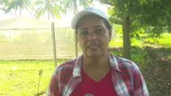 Granma farmers carry out productive work ahead of Fidel Castro's centenary