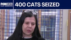 Founder speaks out after raid at Upland cat facility