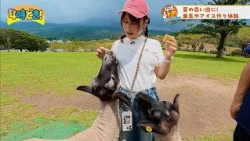 Create Fun Summer Vacation Memories! "Takachiho Farm" - Wednesday, August 12, 2026 "4 O'clock Doki!"