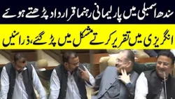 Sindh Assembly Parliamentary Leader Speech in English Goes Viral | Public News
