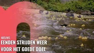 Eenden strijden weer voor het goede doel