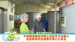 [Morning is on Channel 5!] Broadcast September 5, 2026