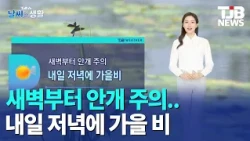 [TJB AI Weather and Life] Beware of early morning fog... Autumn rain expected tomorrow evening 09...