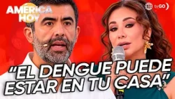 Dengue could be in your home without you knowing it | América Hoy